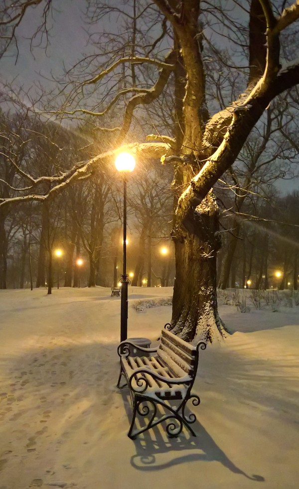 � ������������ ����� ����