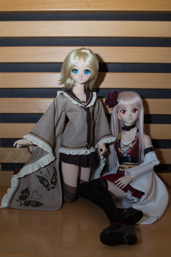Иногда они собираются вместе Dollfiedream, Фотография, Хобби, Kanzaki Ranko, Shibuya rin, Sheryl Nome, Hatsune Miku, Kagamine Rin, Длиннопост