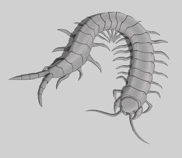 Learning to draw on a tablet - My, Scolopendra, Computer graphics, Art, iPad