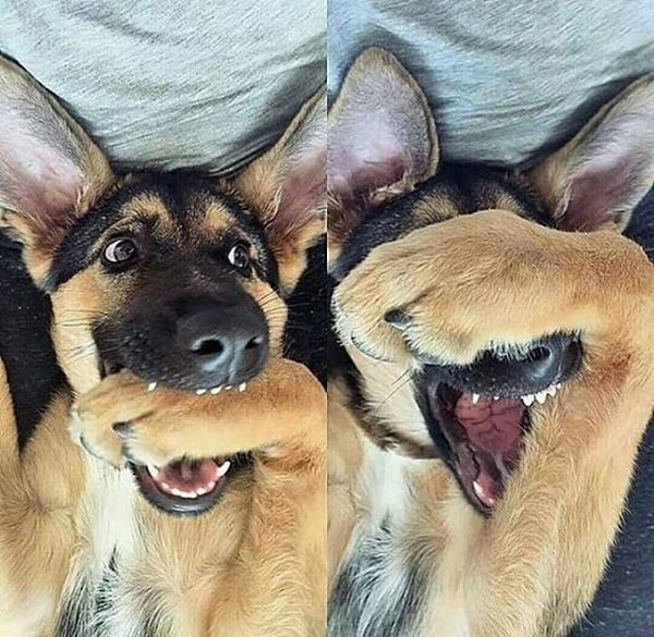 ������� ������� :)