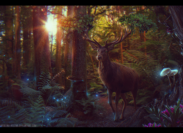 Enchanted Forest. - My, Art, Elena Nikulina, Forest, Story, Fantasy, Deer, Sunset, Spirit of the forest, Deer