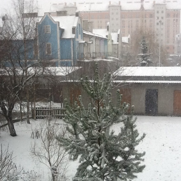 Winter has returned to Kaliningrad - Snow, My, Winter, Kaliningrad