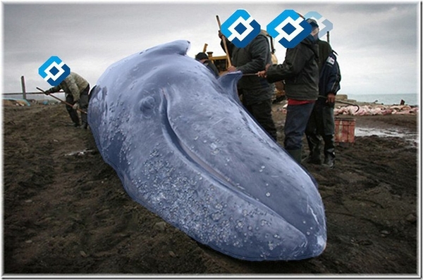 To this topic - My, Blue, Whale, Yury Khovansky, Larin, Versus, Humor, Joke, Snailkick