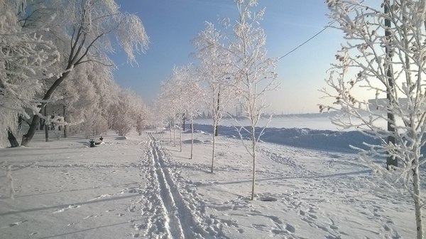 Деревья утром на ОбьГЭСе - Моё, Обьгэс, Март, Весна, Иней, Новосибирск, Россия, Природа, Красота, Длиннопост