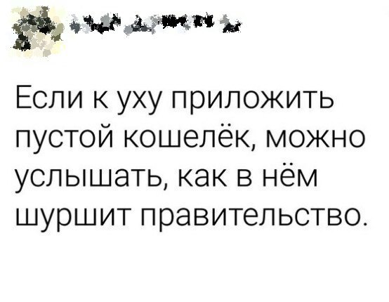 Шум правительства .
