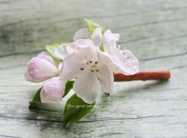 When the apple trees bloom... - My, Apple tree, Brooch, Polymer clay, Hobby, Лепка, Longpost