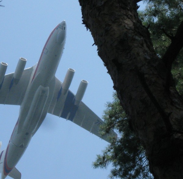 Raise the camera up and then... - Airplane, Rare photos, My, , Relaxation