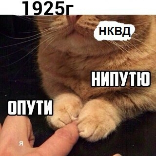 Jokes for historians. - NKVD, Images