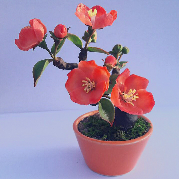 Mame-bonsai (8cm) Japanese quince. Polymer clay. - Longpost, My, Handmade, Polymer clay, Лепка, Bonsai, My