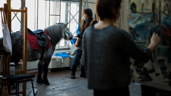 Stable at the Academy of Arts - My, Saint Petersburg, Horses, Artist, Academy, Video, Competition, Help, Creation