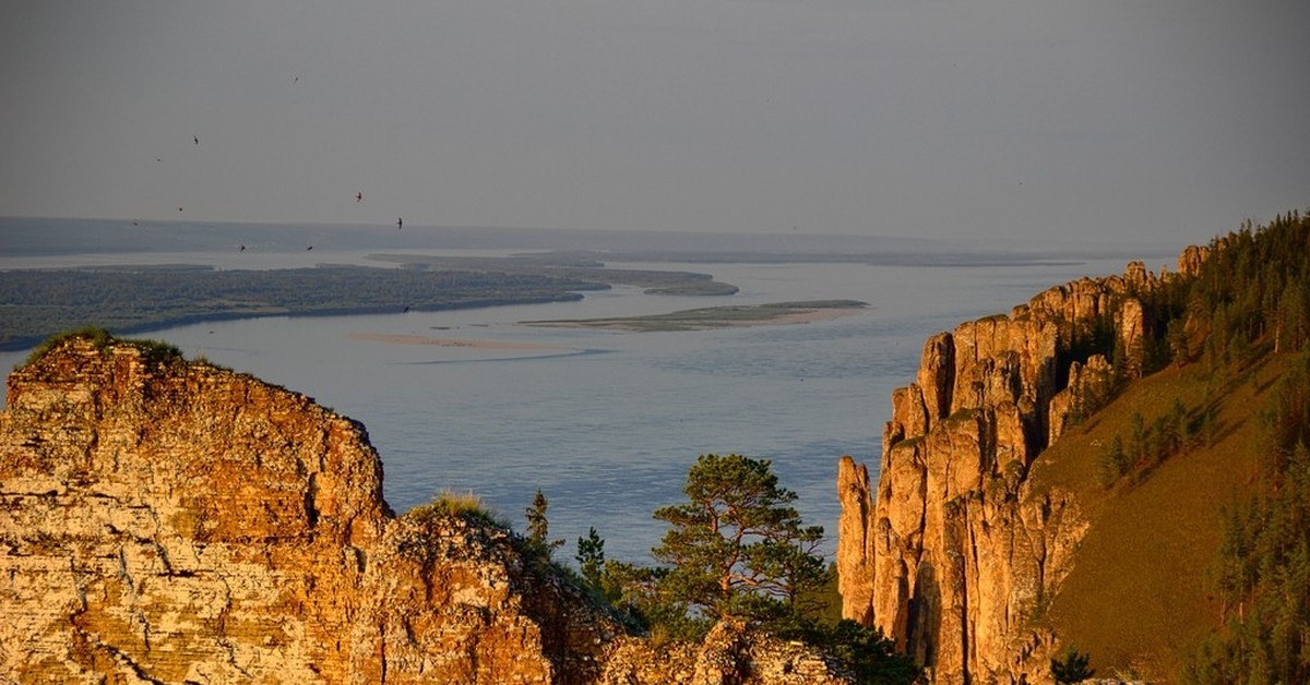 Саха ленский. Ленские столбы в Якутии. Природный парк Ленские столбы. Ленские столбы 4к. Ленские столбы Магадан.