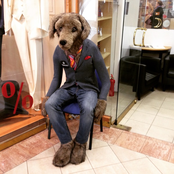 Disheartened. - My, Depressed, Dog, Shopping center