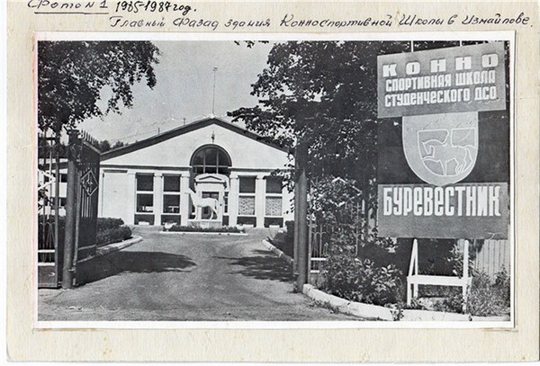 The history of one equestrian club - Longpost, Equestrian Club, Horses, Story, The photo, Izmailovo