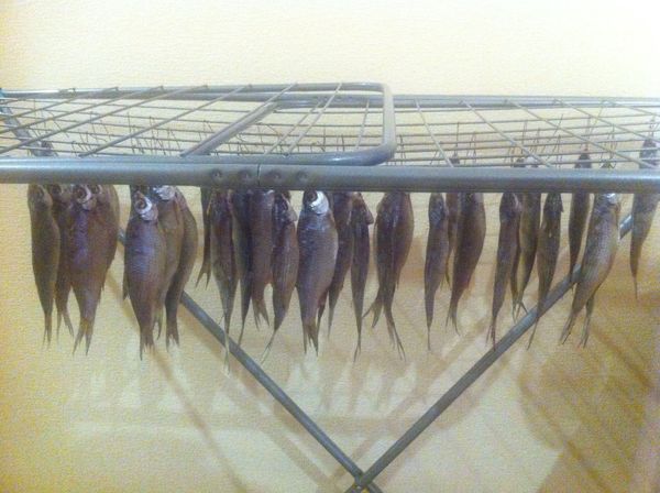 ����� ������