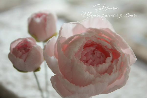 Sculpting peonies from polymer clay - My, Polymer clay, Лепка, Handmade, Creation, Peonies, Cold porcelain, Polymer floristry, Longpost