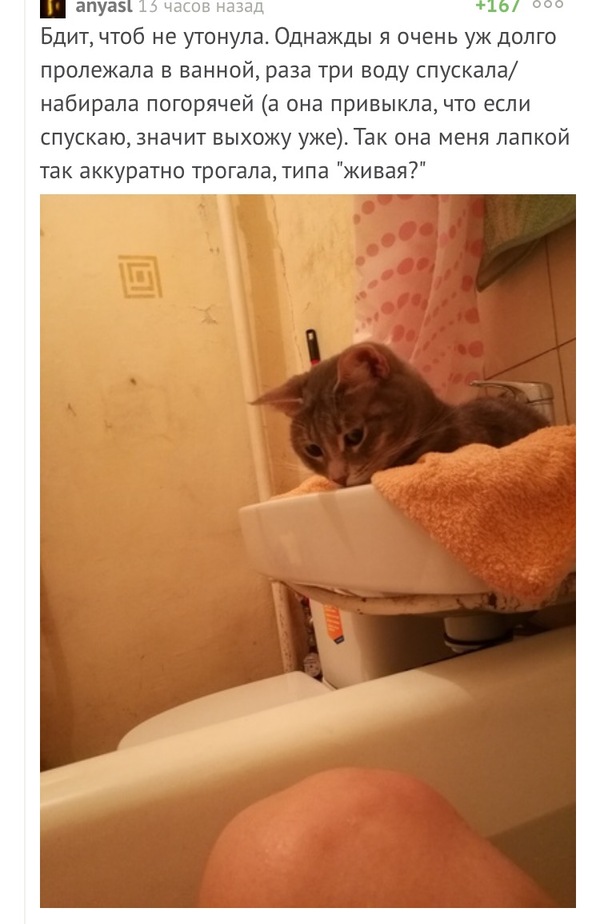 Результаты поиска по запросу Результаты поиска по запросу