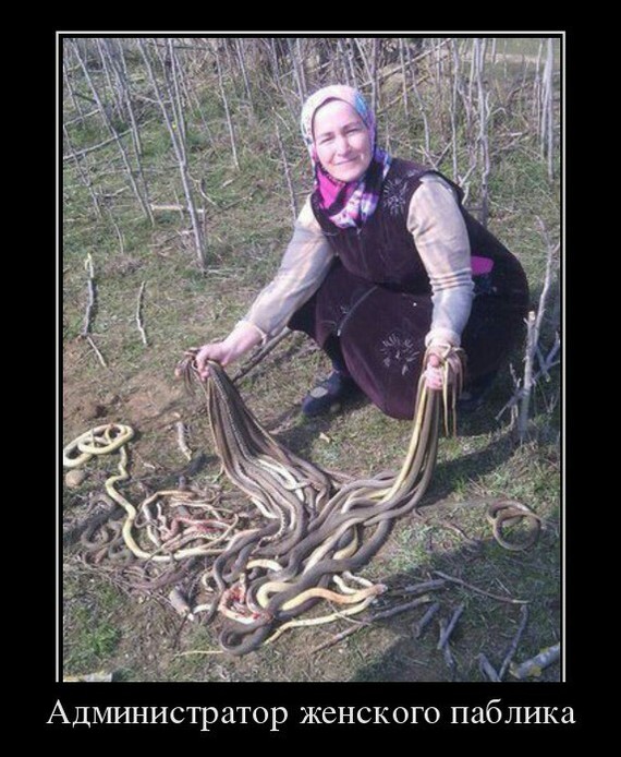 strong photography - Grandmother, Strong-willed, Snake