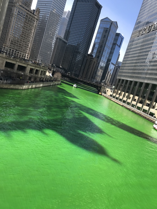 Holiday: St. Patrick's Day in Chicago. - My, St.Patrick 's Day, Chicago, , Booze, Irishman, Green