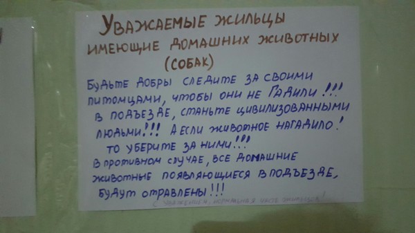 At the 3rd entrance of the house 34 Amurskaya St., Moscow - Announcement, Animals, Dogs and people, , Entrance, , Poisoning