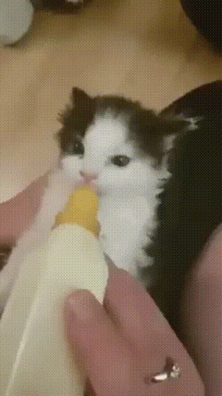      , , , , 