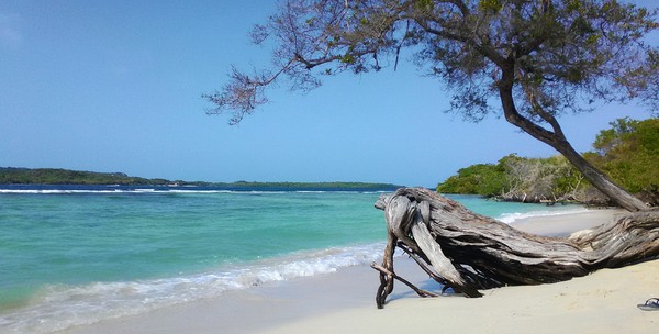 Playa azul (Blue Beach, Venezuela) - My, Venezuela, Beach, Caribs, Relaxation, Island, Business trip