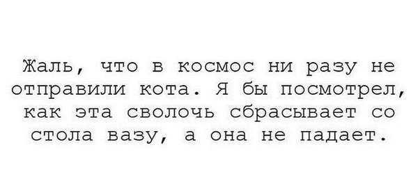 Жаль, что в космос ни разу не отправили кота - Прикол, Юмор, Кот, Космос