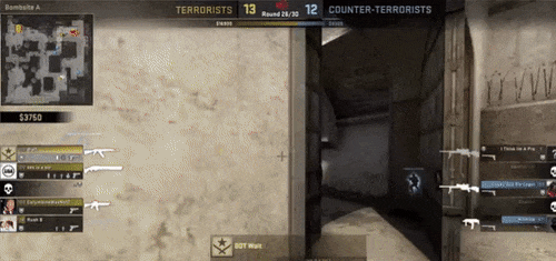 The bot killed with smoke. - The bot, CS: GO, Smoke, GIF