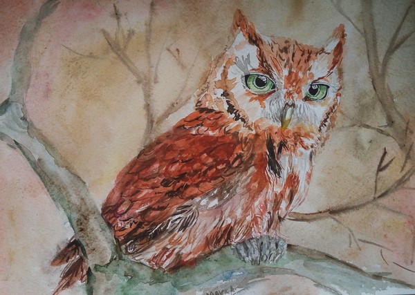 Owl - Drawing, My, Owl, Watercolor