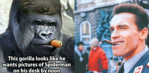 Similar? - Monkey, Arnold Schwarzenegger, Twins, Red heat, Cigar, Carrot
