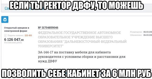 Если ты ректор ДВФУ, то можешь позволить себе кабинет за 6 млн. руб. - ДВФУ, Владивосток, Образование, Ректор, Чиновники, Россия, Коррупция, Политика