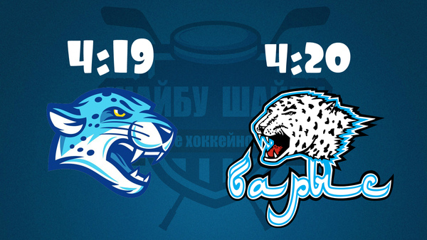 About the new logo of HC Barys (KHL) - My, Hockey, KHL, Barys, Humor