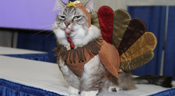 ��� ������-�����