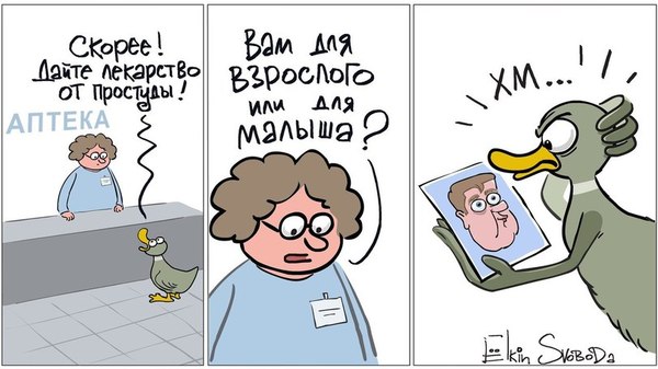Didn't save... - Yolkin, Caricature, Politics, Dmitry Medvedev, Flu, Sergey Elkin