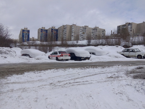 Snowdrops - My, Auto, Longpost, Murmansk, Snow