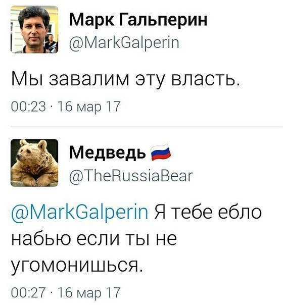 Коротко и ясно! - Twitter, Гальперин, Либералы, Мат, Русский медведь, Политика, Медведи