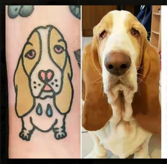 Korean tattoo artist famous for his funny pet tattoos - Tattoo, Pets, Longpost, Instagram, Dog, cat