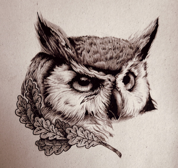 Owl - My, Owl, Graphics, Pen, Creation, My, 