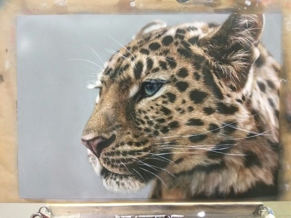 Airbrushing. - Airbrushing, Leopard, Courses