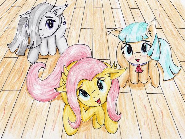       ! My Little Pony, Fluttershy, Coco Pommel, Marble Pie