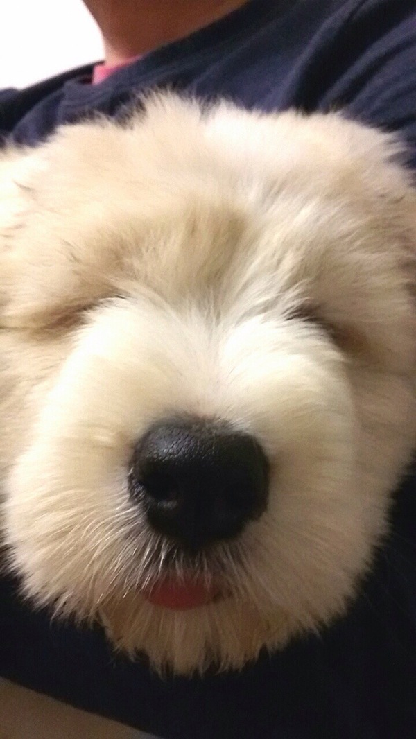 Знакомьтесь, "Гайка"