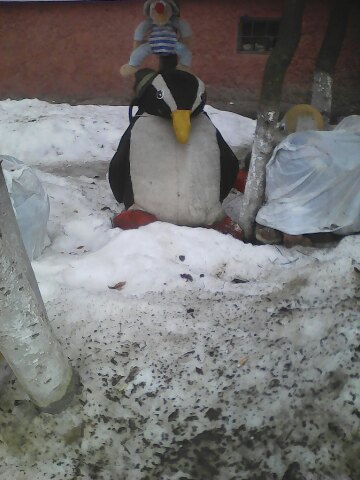 Где-то в Нижнем грустит пингвин