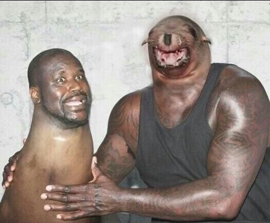 Seal - Seal, Black people, Accordion, Photoshop, Repeat