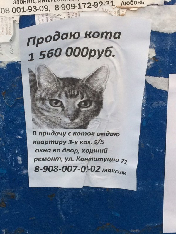 ������� ����� �������