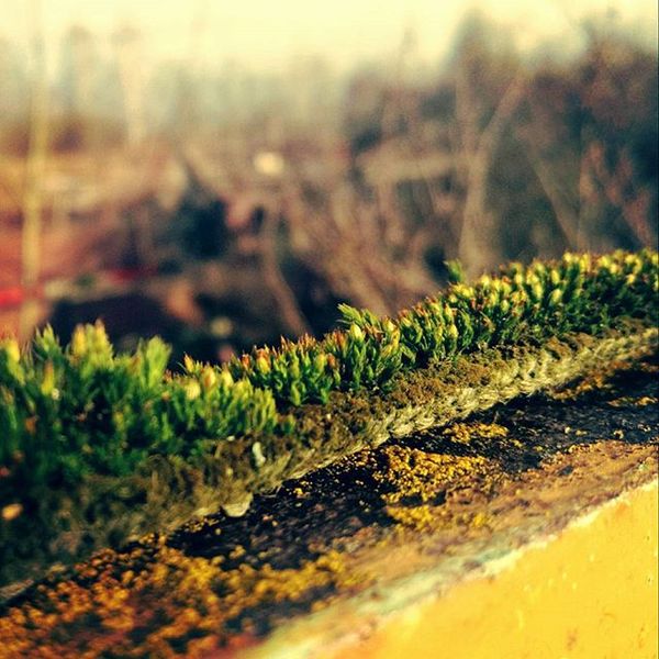 Весна пришла,ну хоть чуть-чуть)