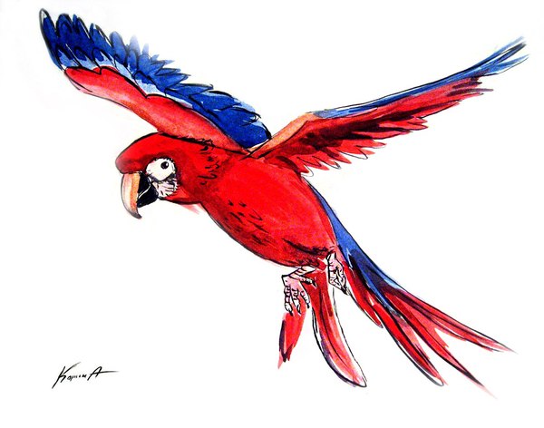 Watercolor drawing. - My, Artist, Birds, Watercolor, Flight, Drawing, 