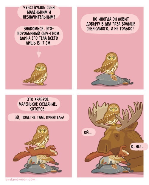 Owl gnome - Birdandmoon, Owl, Comics