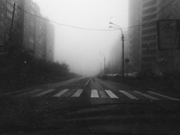 On the way to work - Work, Road, My, Fog, Saint Petersburg, House