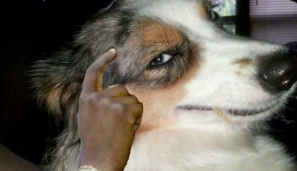   ,    