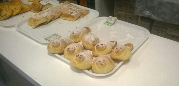 Ватрушки-тюлени