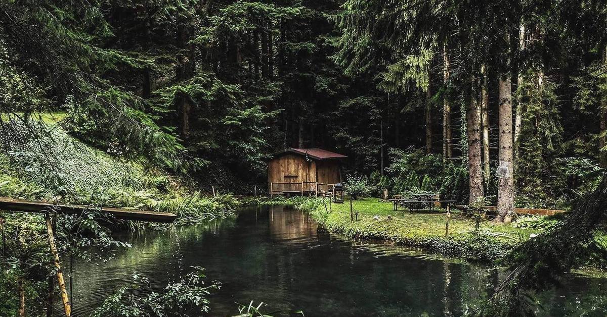 В лесной глуши. Лесная глухомань. Тайга глухомань. Домик в лесу. «Домик в глуши».